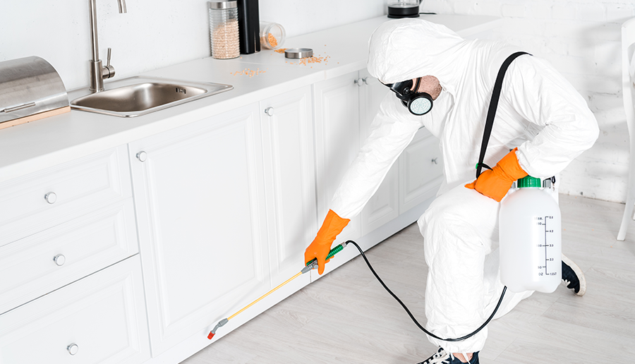 exterminator-holding-toxic-equipment-near-kitchen-2022-12-16-16-57-09-utc